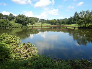 DSCN0225.JPG