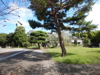 DSCN0234.JPG