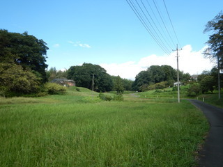 DSCN0256.JPG