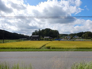 DSCN0268.JPG