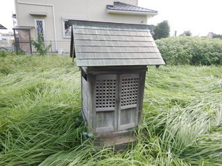 DSCN0316.JPG