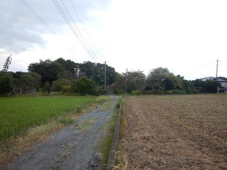 DSCN0498.JPG
