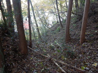 DSCN0645.JPG