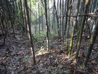 DSCN0663.JPG
