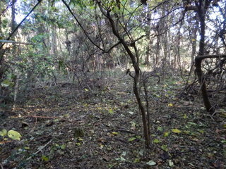DSCN0708.JPG