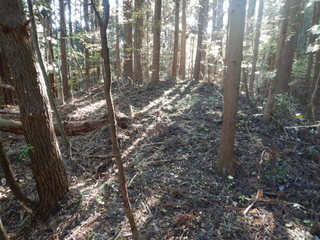 DSCN0788.JPG