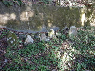 DSCN0936.JPG