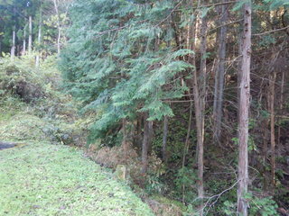 DSCN0944.JPG
