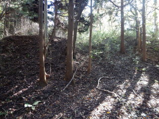 DSCN0982.JPG
