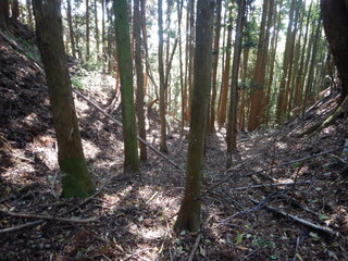 DSCN1001.JPG