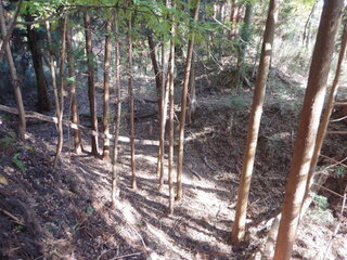 DSCN1054.JPG