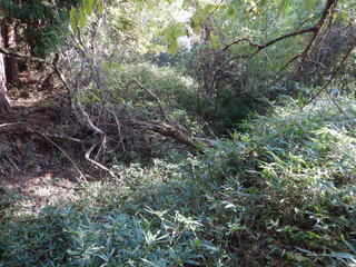 DSCN1130.JPG