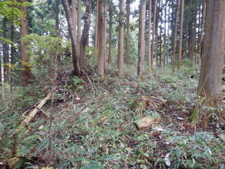 DSCN1205.JPG