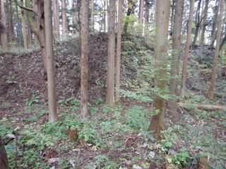 DSCN1235.JPG