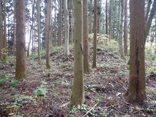 DSCN1254.JPG