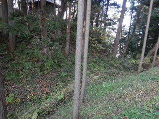 DSCN1342.JPG
