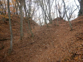 DSCN1620.JPG