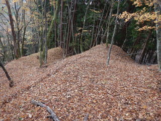 DSCN1628.JPG