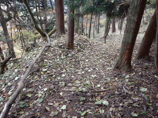 DSCN1774.JPG