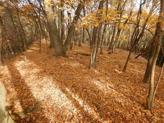 DSCN1805.JPG