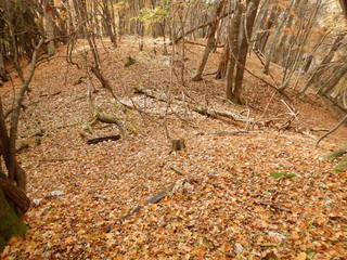 DSCN1828.JPG