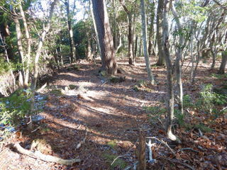 DSCN6050.JPG