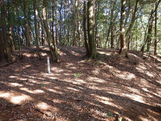 DSCN6204.JPG