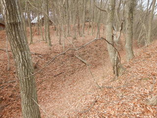 DSCN6700.JPG