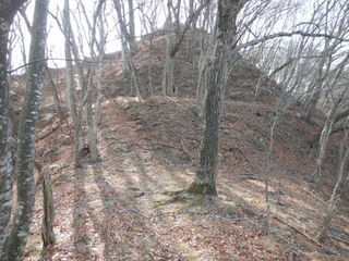 DSCN6770.JPG