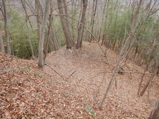 DSCN6917.JPG